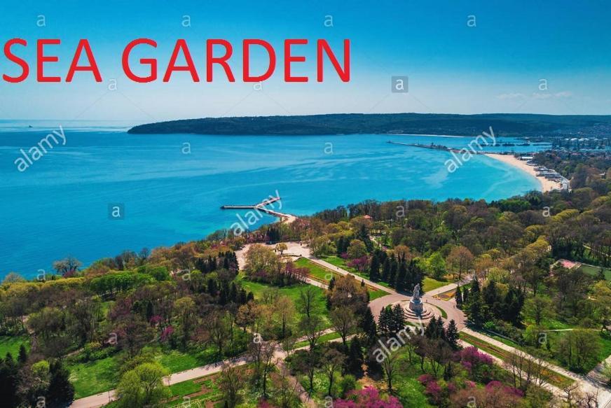 Sweet Home Near The Sea 바르나 외부 사진